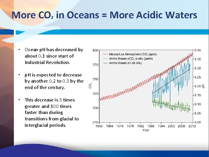 More CO² in Oceans = More Acidic Waters • Ocean p. H has decreased