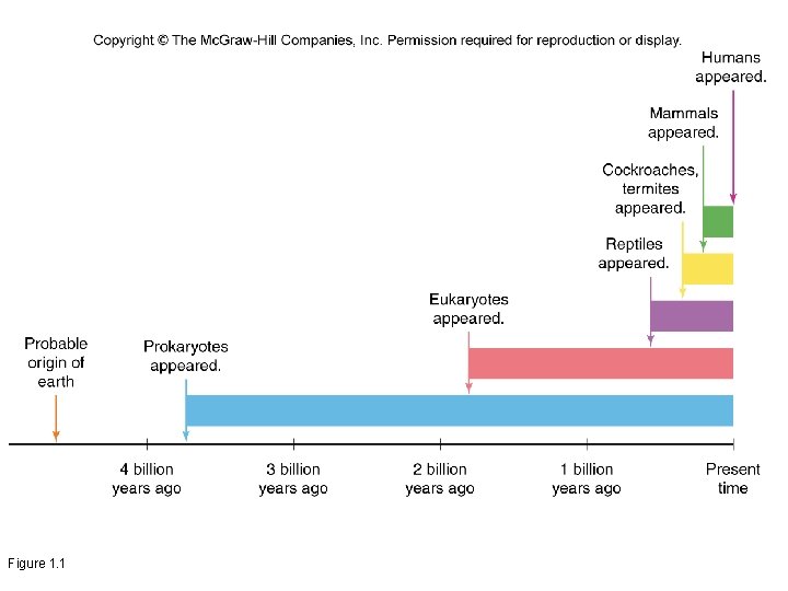 Chapter 1 The Main Themes of Microbiology Microbiology