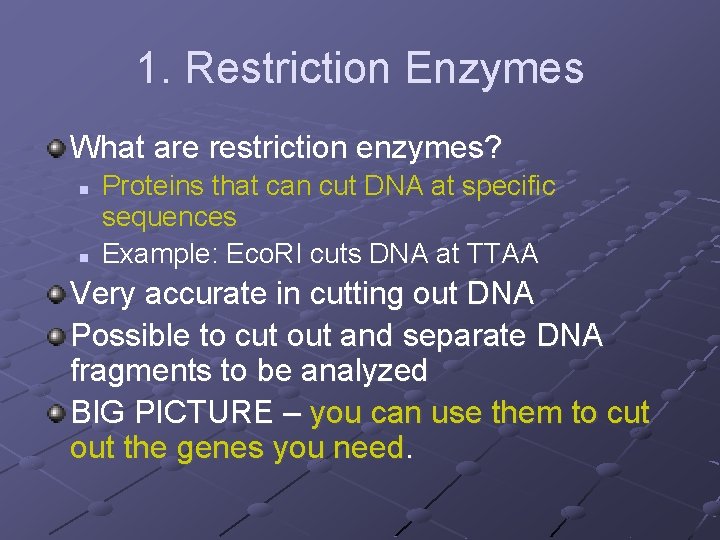 1. Restriction Enzymes What are restriction enzymes? n n Proteins that can cut DNA