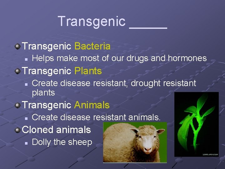 Transgenic _____ Transgenic Bacteria n Helps make most of our drugs and hormones Transgenic