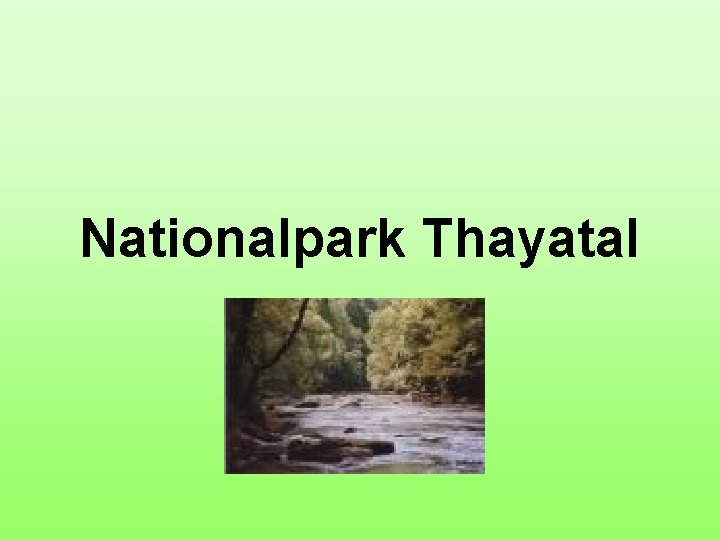 Nationalpark Thayatal 