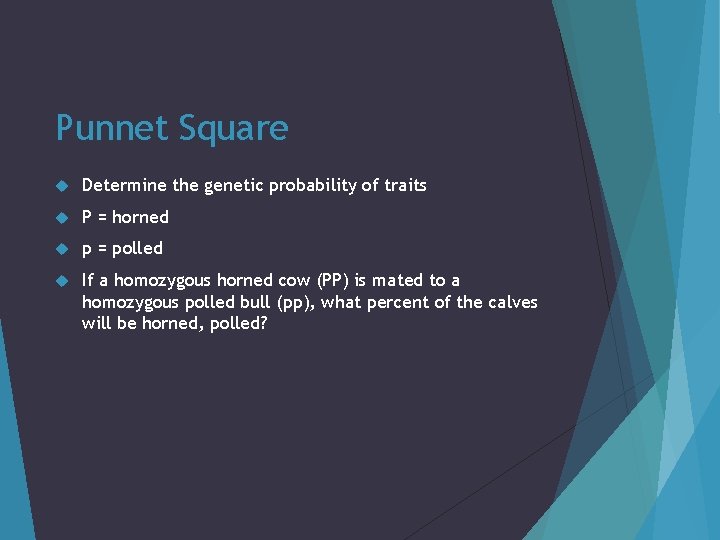 Punnet Square Determine the genetic probability of traits P = horned p = polled