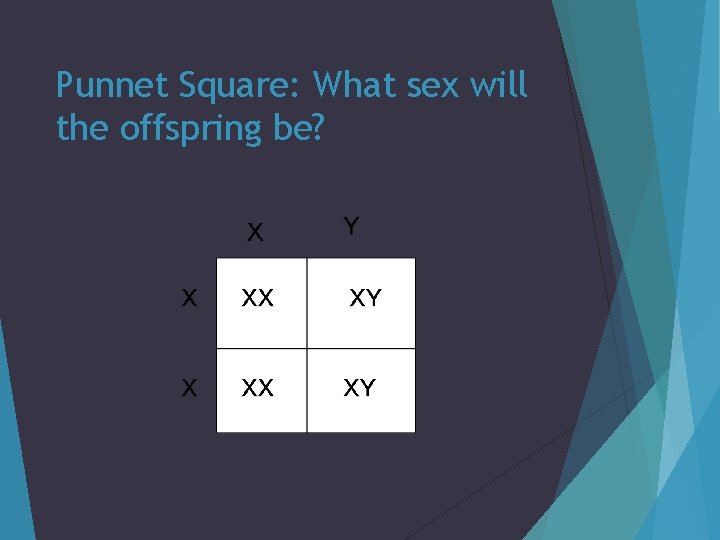 Punnet Square: What sex will the offspring be? 