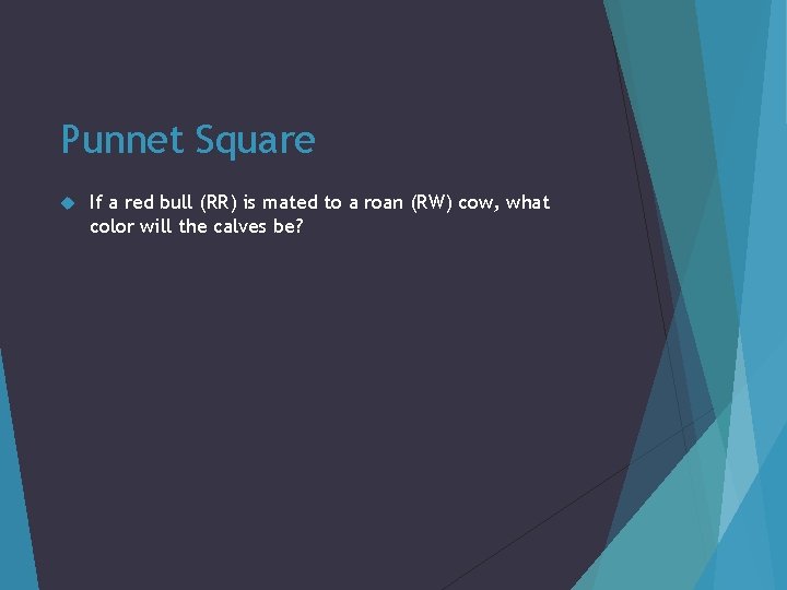 Punnet Square If a red bull (RR) is mated to a roan (RW) cow,