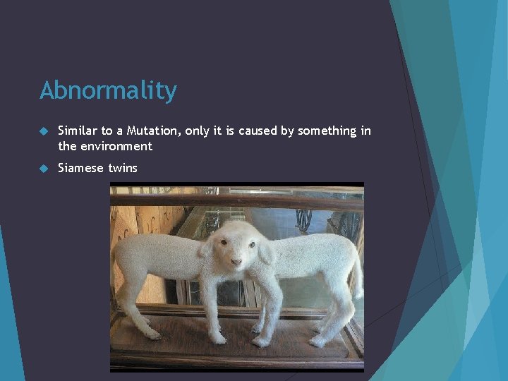 Abnormality Similar to a Mutation, only it is caused by something in the environment