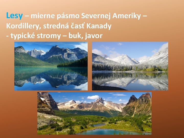 Lesy – mierne pásmo Severnej Ameriky – Kordillery, stredná časť Kanady - typické stromy