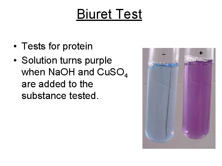 Biuret Test • Tests for protein • Solution turns purple when Na. OH and