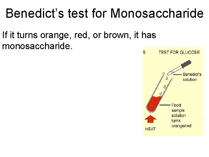 Benedict’s test for Monosaccharide If it turns orange, red, or brown, it has monosaccharide.