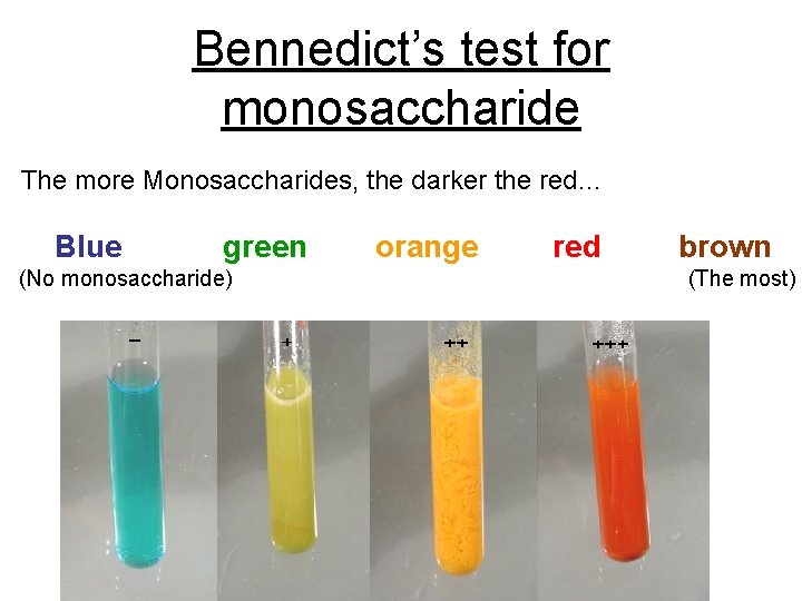 Bennedict’s test for monosaccharide The more Monosaccharides, the darker the red… Blue green (No