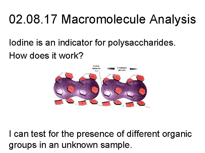02. 08. 17 Macromolecule Analysis Iodine is an indicator for polysaccharides. How does it