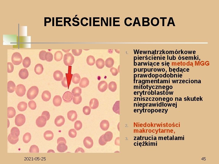 PIERŚCIENIE CABOTA 1. 2. 3. 2021 -05 -25 Wewnątrzkomórkowe pierścienie lub ósemki, barwiące się