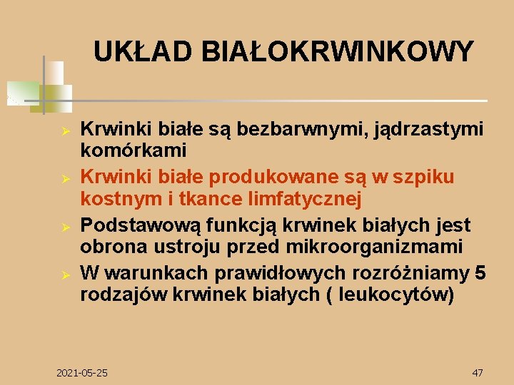 UKŁAD BIAŁOKRWINKOWY Ø Ø Krwinki białe są bezbarwnymi, jądrzastymi komórkami Krwinki białe produkowane są