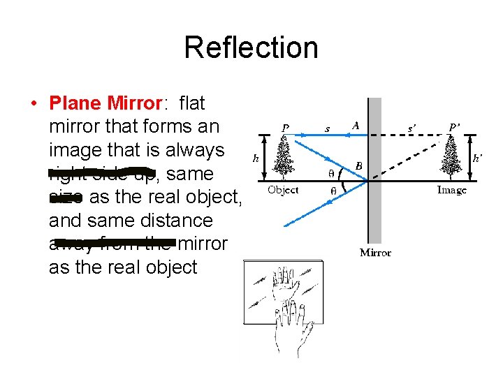 Reflection • Plane Mirror: flat mirror that forms an image that is always right