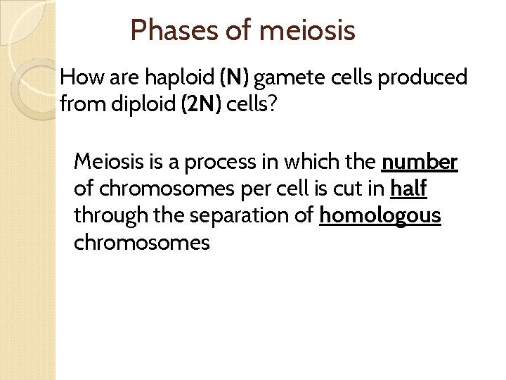 Phases of meiosis How are haploid (N) gamete cells produced from diploid (2 N)