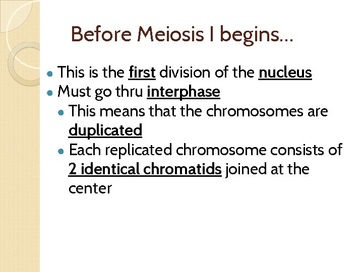 Before Meiosis I begins… ● This is the first division of the nucleus ●