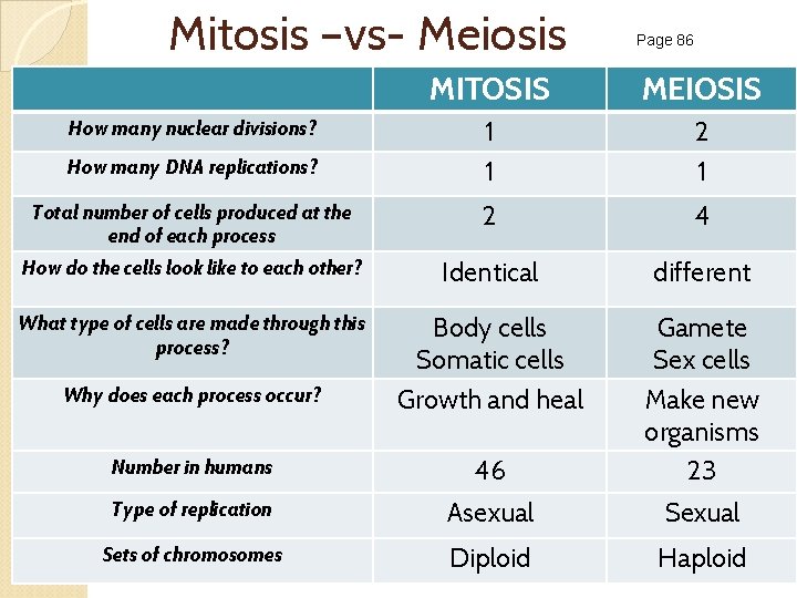 Mitosis –vs- Meiosis Page 86 MITOSIS MEIOSIS 1 1 2 1 Total number of