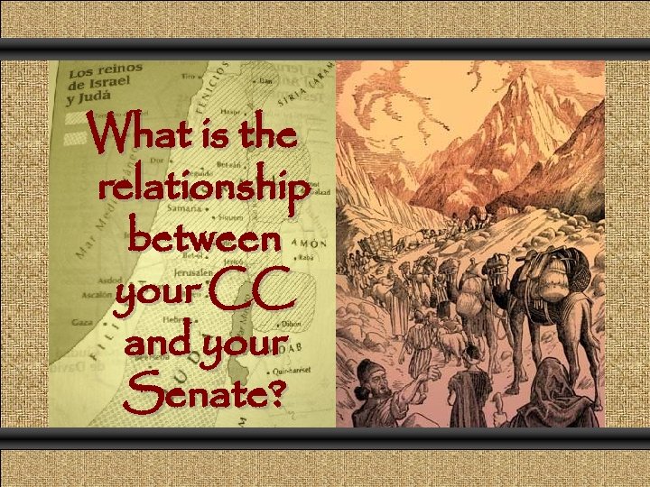 What is the relationship between your CC and your Senate? 