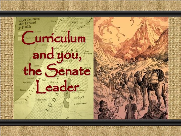 Curriculum and you, the Senate Leader 