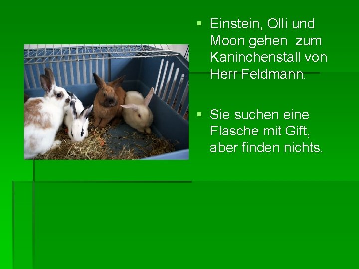 § Einstein, Olli und Moon gehen zum Kaninchenstall von Herr Feldmann. § Sie suchen