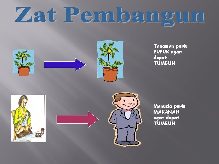 Tanaman perlu PUPUK agar dapat TUMBUH Manusia perlu MAKANAN agar dapat TUMBUH 