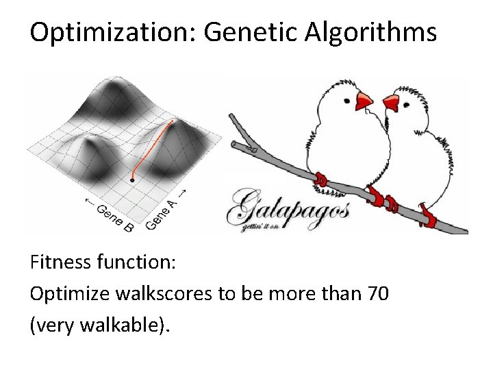 Optimization: Genetic Algorithms Fitness function: Optimize walkscores to be more than 70 (very walkable). Optimization: Genetic Algorithms Fitness function: Optimize walkscores to be more than 70 (very walkable).
