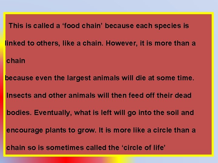 This is called a ‘food chain’ because each species is linked to others, like