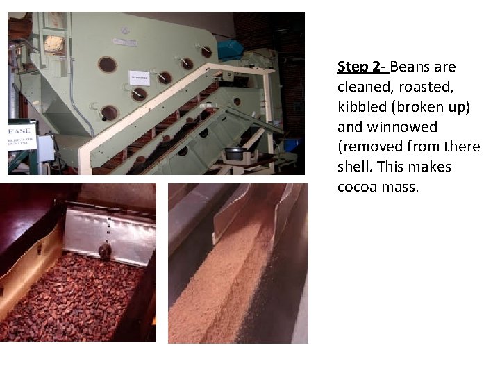 Step 2 - Beans are cleaned, roasted, kibbled (broken up) and winnowed (removed from