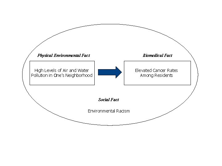 Physical Environmental Fact Biomedical Fact High Levels of Air and Water Pollution in One’s