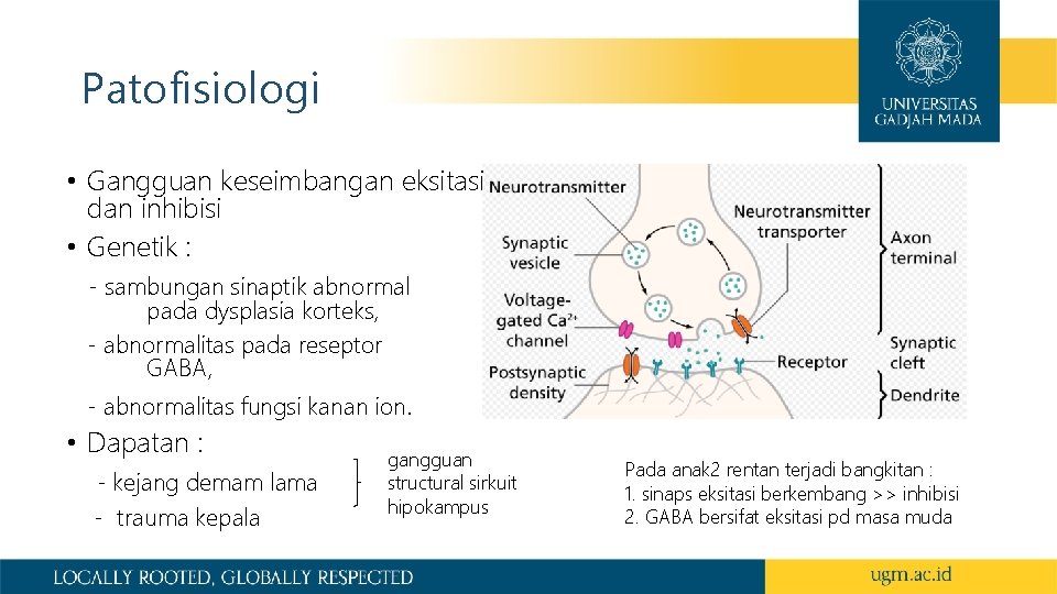 Patofisiologi • Gangguan keseimbangan eksitasi dan inhibisi • Genetik : - sambungan sinaptik abnormal