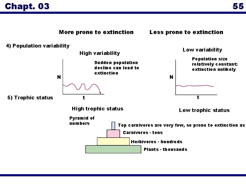 Chapt. 03 55 More prone to extinction Less prone to extinction 4) Population variability