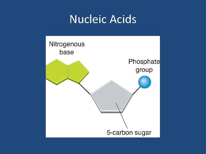 Nucleic Acids 