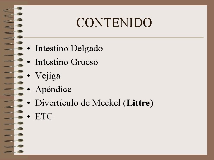 CONTENIDO • • • Intestino Delgado Intestino Grueso Vejiga Apéndice Divertículo de Meckel (Littre)