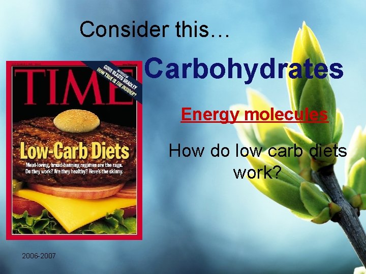 Consider this… Carbohydrates Energy molecules How do low carb diets work? 2006 -2007 