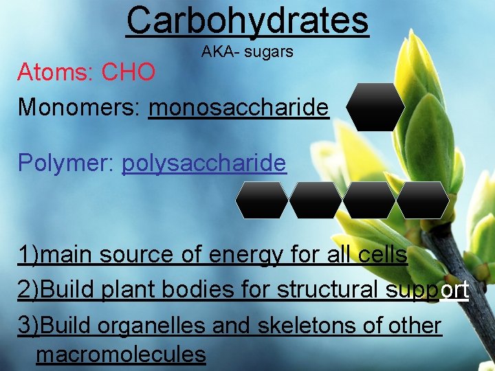 Carbohydrates AKA- sugars Atoms: CHO Monomers: monosaccharide Polymer: polysaccharide 1)main source of energy for