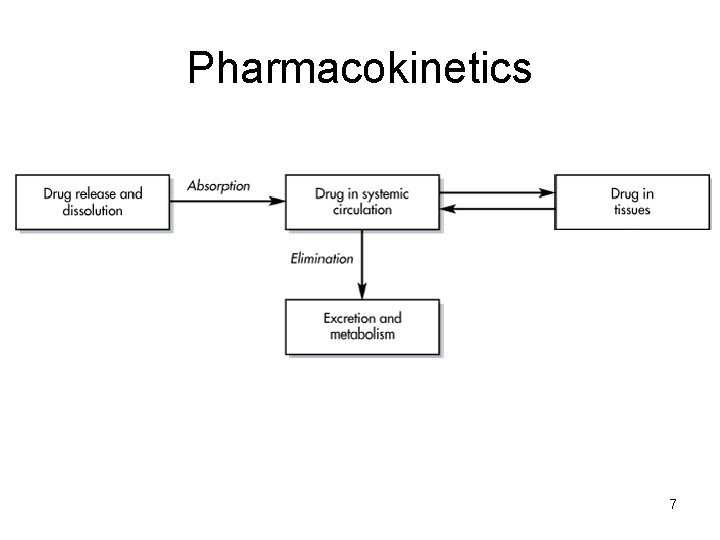 Pharmacokinetics 7 