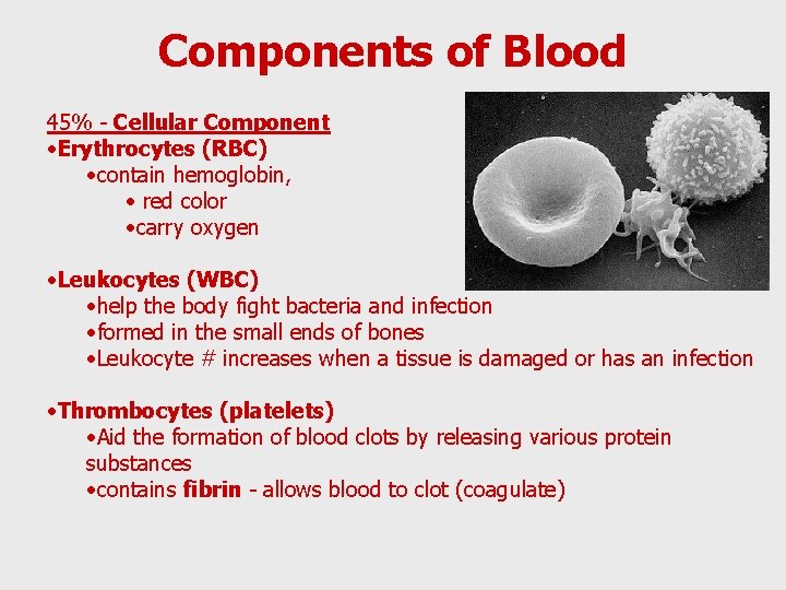 Components of Blood 45% - Cellular Component • Erythrocytes (RBC) • contain hemoglobin, •