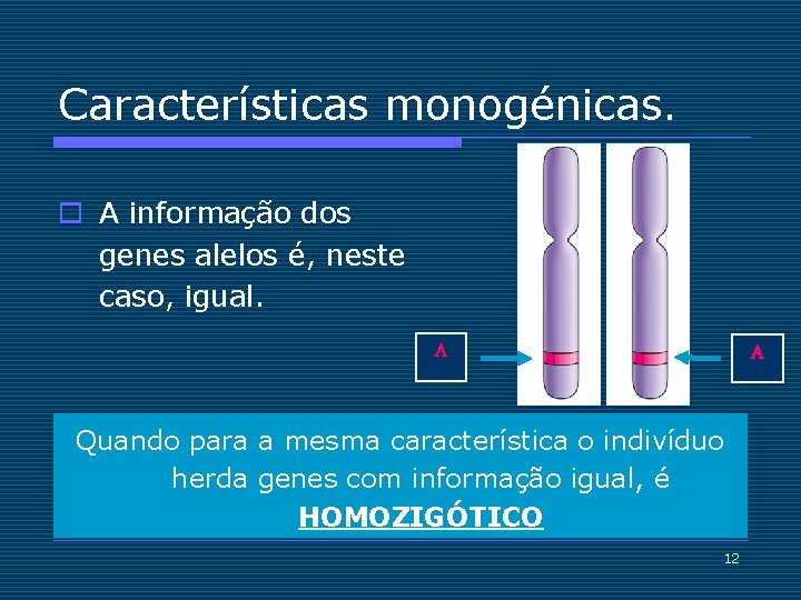 Características monogénicas. o A informação dos genes alelos é, neste caso, igual. A A