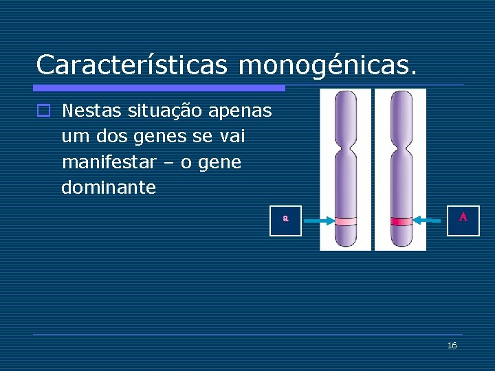 Características monogénicas. o Nestas situação apenas um dos genes se vai manifestar – o