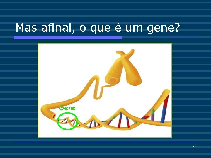 Mas afinal, o que é um gene? Gene 4 