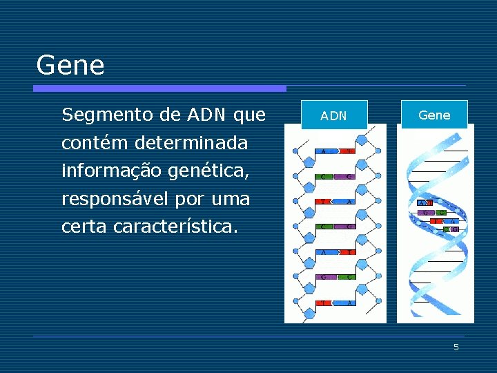 Gene Segmento de ADN que ADN Gene contém determinada informação genética, responsável por uma