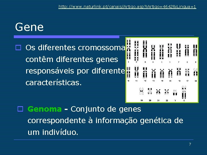 http: //www. naturlink. pt/canais/Artigo. asp? i. Artigo=4642&i. Lingua=1 Gene o Os diferentes cromossomas contêm