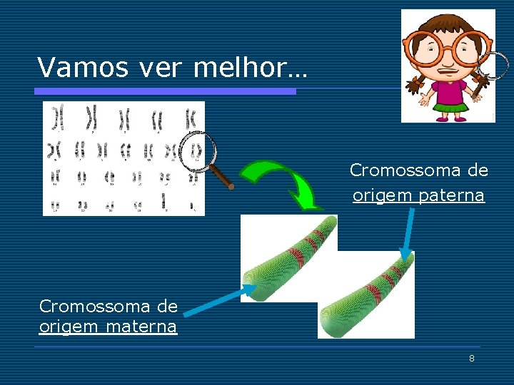 Vamos ver melhor… Cromossoma de origem paterna Cromossoma de origem materna 8 