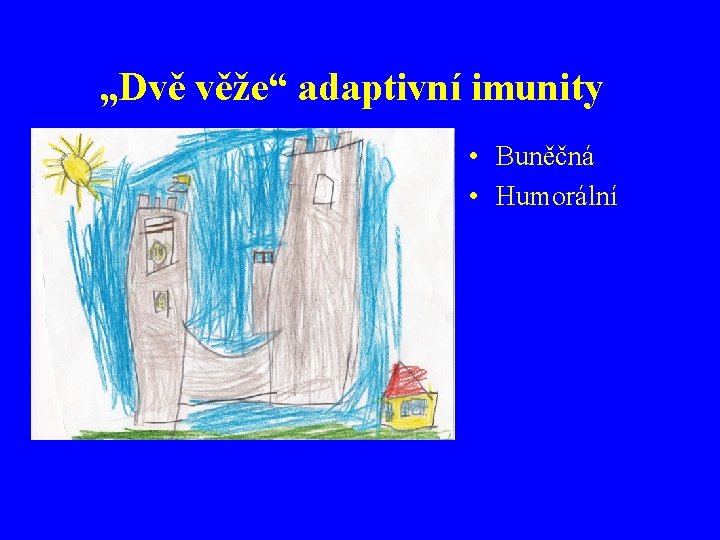 „Dvě věže“ adaptivní imunity • Buněčná • Humorální 