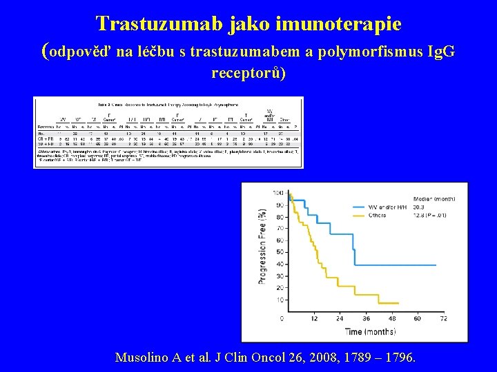 Trastuzumab jako imunoterapie (odpověď na léčbu s trastuzumabem a polymorfismus Ig. G receptorů) Musolino