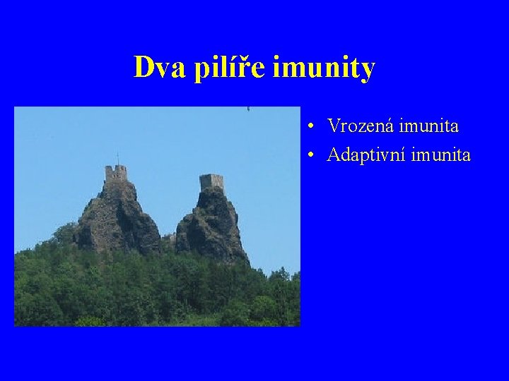 Dva pilíře imunity • Vrozená imunita • Adaptivní imunita 