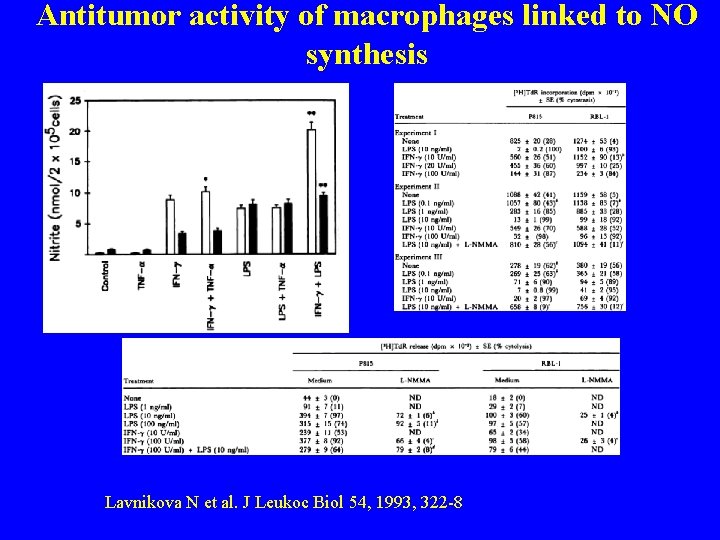 Antitumor activity of macrophages linked to NO synthesis Lavnikova N et al. J Leukoc