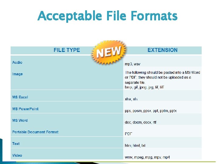 Acceptable File Formats 11 