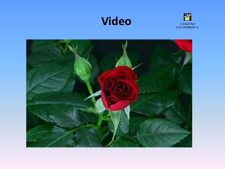 Video 