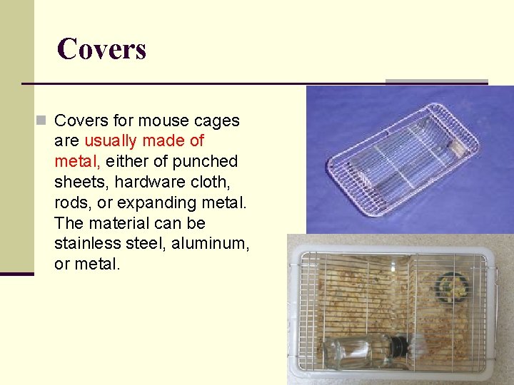 Mouse Husbandry Animal husbandry is the applied science