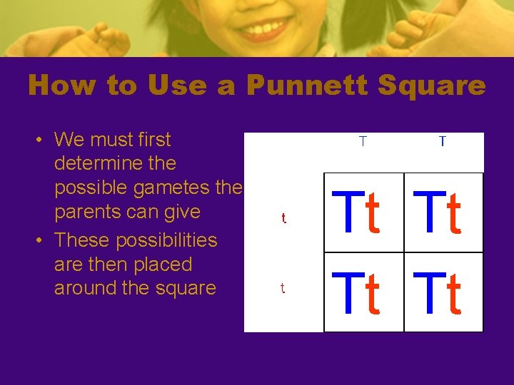 How to Use a Punnett Square • We must first determine the possible gametes